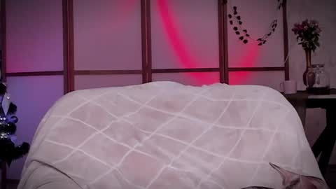 Snapshot of lina_n_kitty chatting on 16, 12, 2024 Lina - online show from 16, 12, 2024