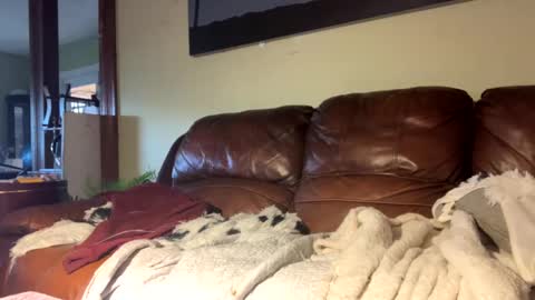 Richie Rich online show from 6, 12, 2024