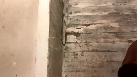 Richie Rich online show from 7, 12, 2024