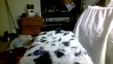 Richie Rich online show from 30, 12, 2024