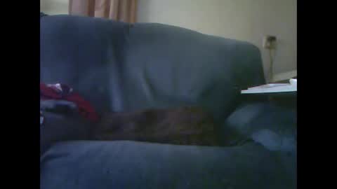 Snapshot of lion160868 chatting on 28, 11, 2025 lion160868 online show from 28, 11, 2025