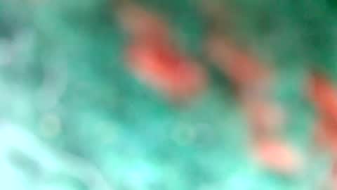 lionelearthquake online show from 11, 3, 2025