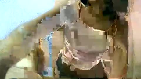 liora online show from 11, 3, 2025