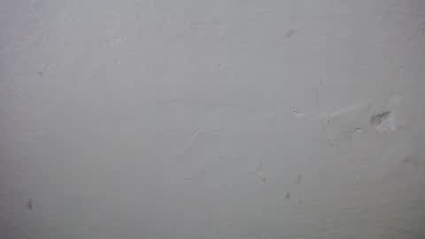 lisa_branch online show from 20, 12, 2025