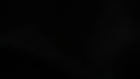 Lisa  online show from 10, 10, 2025