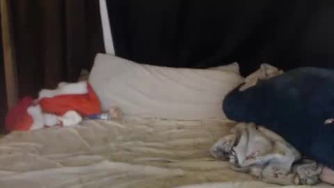 Snapshot of lisa_tyler chatting on 27, 12, 2024 Lisa Tyler online show from 27, 12, 2024