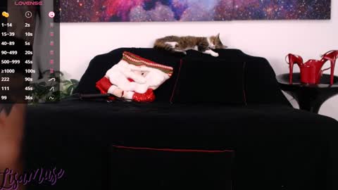 Snapshot of lisamusee chatting on 24, 12, 2024 Lisamuse online show from 24, 12, 2024