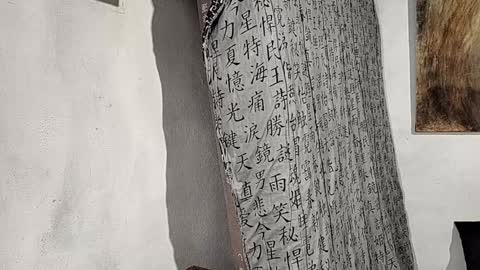 little_savage online show from 25, 12, 2024