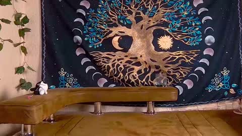 Sofia online show from 29, 1, 2025