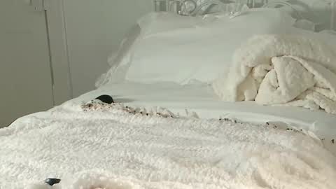 Snapshot of littlegreekflower chatting on 1, 2, 2025 Audra A online show from 1, 2, 2025