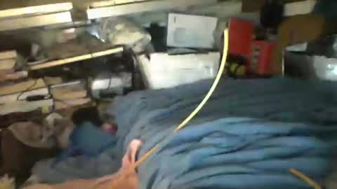 littlejay             littlejay online show from 4, 10, 2025