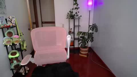 Laksmi online show from 19, 2, 2026