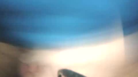 littlestick online show from 12, 1, 2026