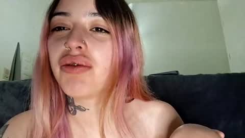 litvvs online show from 2, 7, 2026