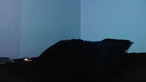 Snapshot of lliamm_2 chatting on 27, 9, 2025 lliamm 2 online show from 27, 9, 2025