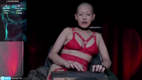 Snapshot of lnxmst chatting on 14, 12, 2024 Lynx Mist online show from 14, 12, 2024