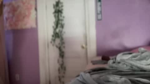 Dashaa online show from 2, 12, 2024