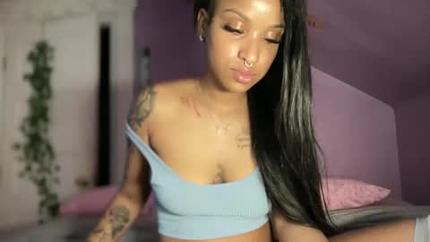 Dashaa online show from 17, 12, 2024