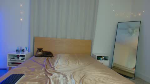 lolo 3 online show from 2, 3, 2025