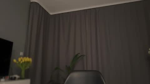 Lolla online show from 14, 3, 2026