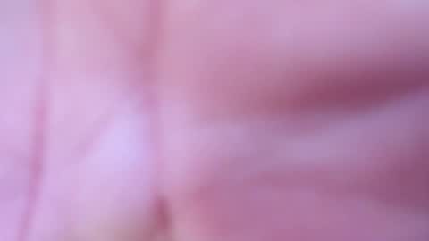 logan online show from 15, 4, 2026