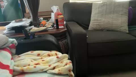 Snapshot of logical12345 chatting on 18, 11, 2025 logical12345 online show from 18, 11, 2025