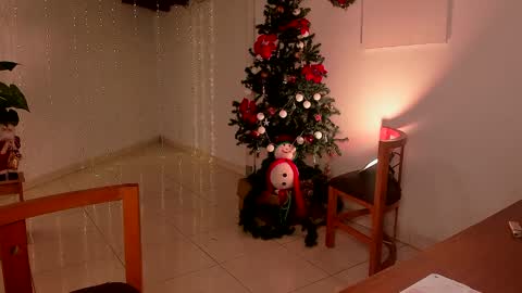 Snapshot of lola_cocks chatting on 15, 12, 2024 mara online show from 15, 12, 2024