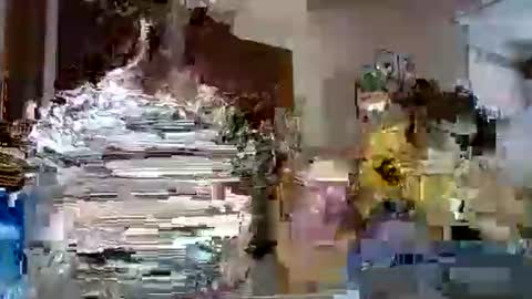 Snapshot of lolahueso chatting on 12, 2, 2025 LOLA HUESO y ERIC online show from 12, 2, 2025