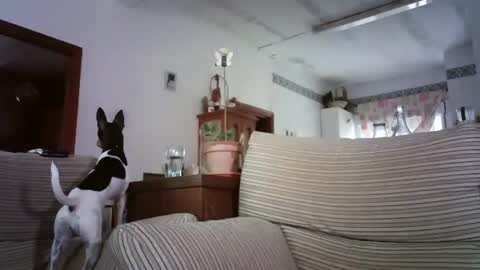 Snapshot of lolahueso chatting on 6, 10, 2025 LOLA HUESO y ERIC online show from 6, 10, 2025