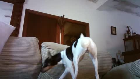 Snapshot of lolahueso chatting on 15, 1, 2026 LOLA HUESO y ERIC online show from 15, 1, 2026