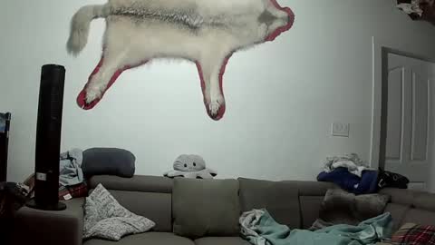 Snapshot of lolalixx6969 chatting on 9, 10, 2025 Lola Lixx online show from 9, 10, 2025