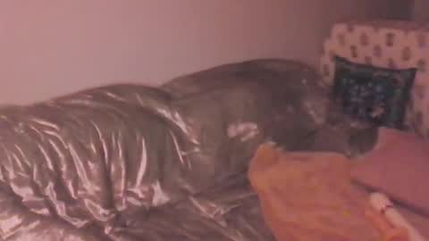 Lola Peach xo online show from 20, 3, 2026