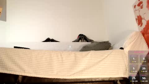 Snapshot of lollatiny chatting on 27, 10, 2025 Miss Lolla online show from 27, 10, 2025