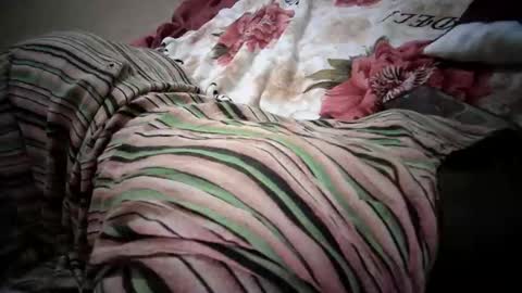 lolly_sexxy online show from 6, 2, 2026