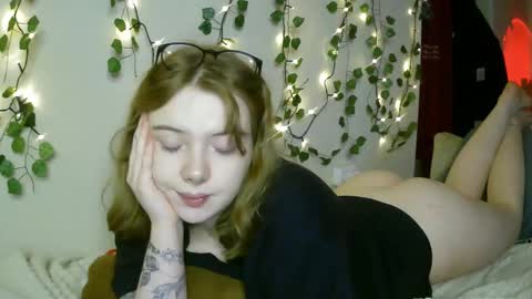 Snapshot of lollylol11 chatting on 8, 3, 2025 Lilly online show from 8, 3, 2025