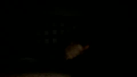 Snapshot of lonezane chatting on 14, 11, 2025 Handsome Cock online show from 14, 11, 2025