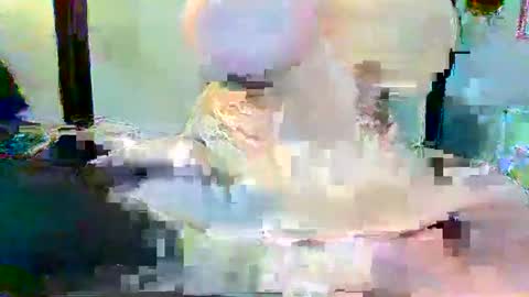 Snapshot of long_dong91 chatting on 3, 1, 2025 Long Dong91 online show from 3, 1, 2025