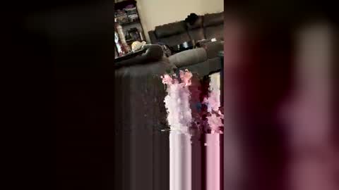 longhairhunky online show from 28, 2, 2026