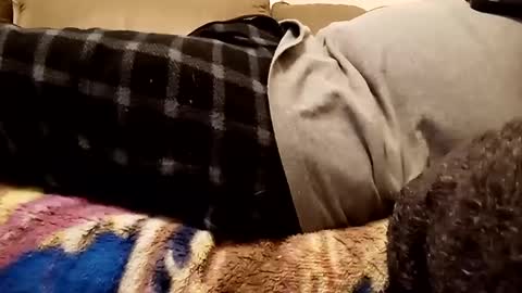 Snapshot of looking4bush chatting on 1, 12, 2024 looking4bush online show from 1, 12, 2024