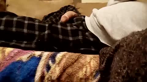 Snapshot of looking4bush chatting on 3, 12, 2024 looking4bush online show from 3, 12, 2024