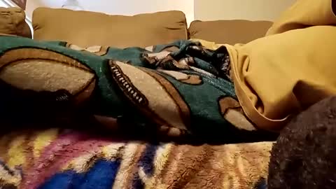 Snapshot of looking4bush chatting on 15, 12, 2024 looking4bush online show from 15, 12, 2024