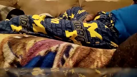 Snapshot of looking4bush chatting on 25, 12, 2024 looking4bush online show from 25, 12, 2024