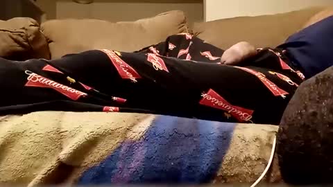 Snapshot of looking4bush chatting on 11, 10, 2025 looking4bush online show from 11, 10, 2025