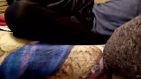 Snapshot of looking4bush chatting on 13, 11, 2025 looking4bush online show from 13, 11, 2025