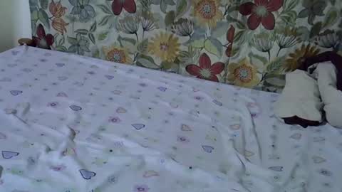 lora_amor online show from 30, 4, 2026