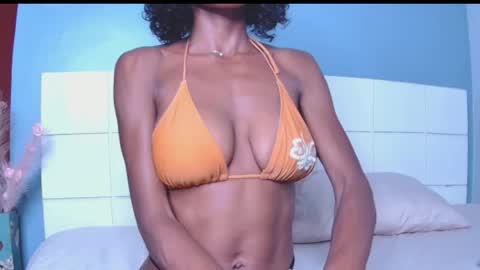 Blackcat online show from 2, 4, 2026