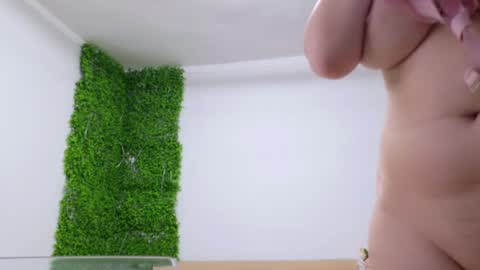 Amelia online show from 25, 2, 2025