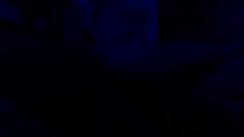 lostndapacific online show from 4, 10, 2025