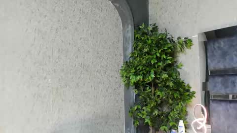 Snapshot of louis_connor chatting on 25, 11, 2025 Louis online show from 25, 11, 2025