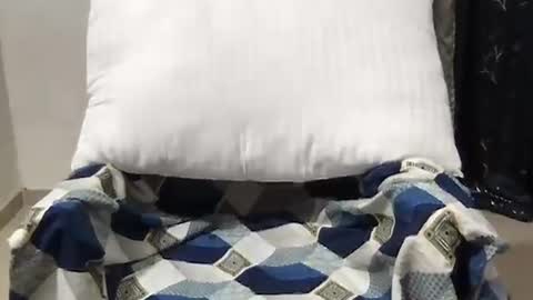 Riva online show from 27, 3, 2026